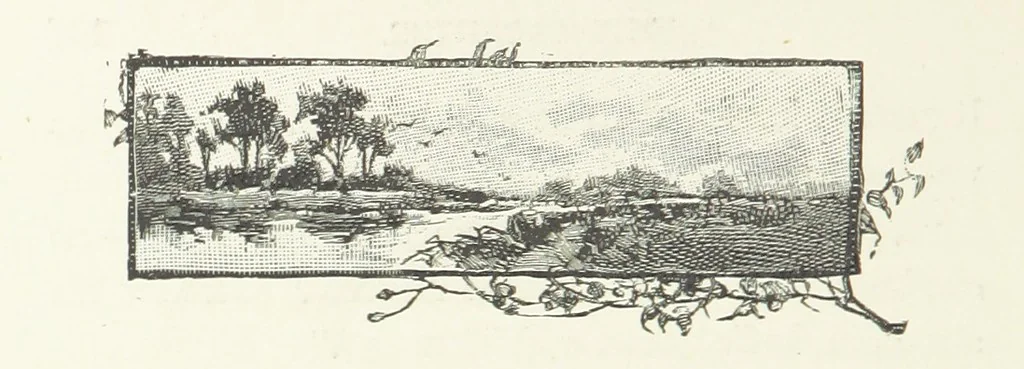 An illustration from In the Days of '54. A story of love and sacrifice, etc, 1893, leaf 142