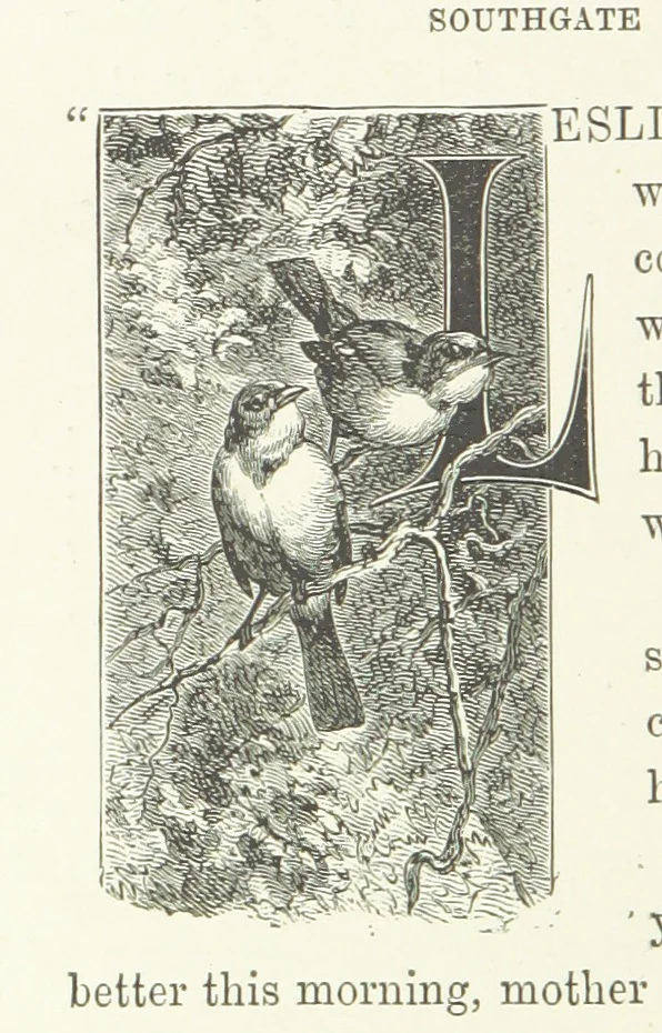 An illustration from In the Days of '54. A story of love and sacrifice, etc, 1893, leaf 152