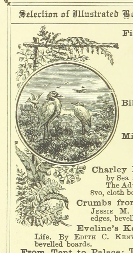 An illustration from In the Days of '54. A story of love and sacrifice, etc, 1893, leaf 170