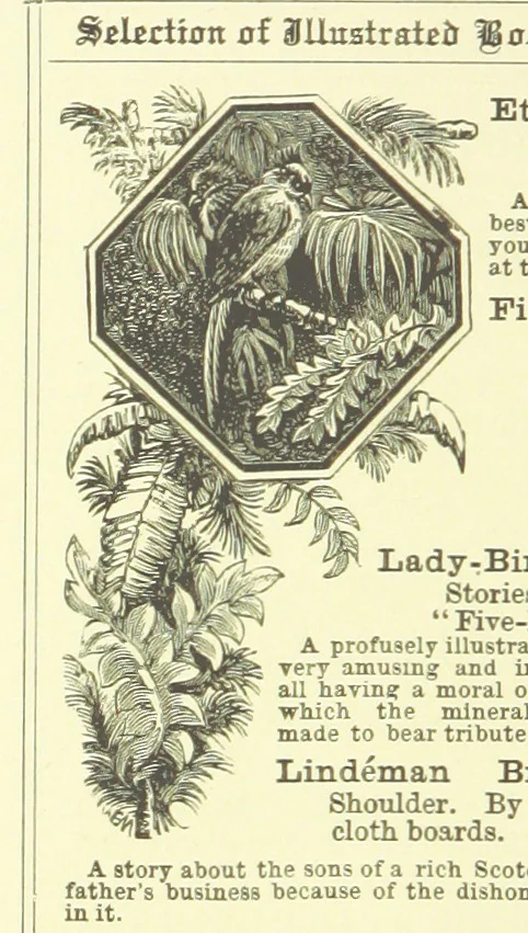 An illustration from In the Days of '54. A story of love and sacrifice, etc, 1893, leaf 178