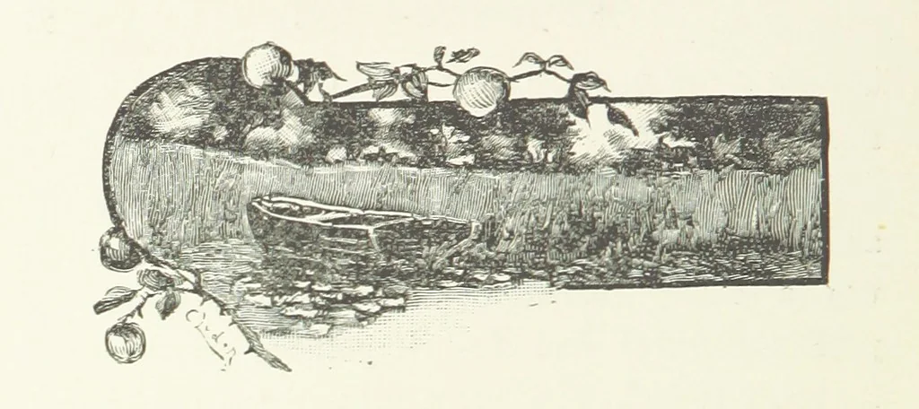 An illustration from In the Days of '54. A story of love and sacrifice, etc, 1893, leaf 32