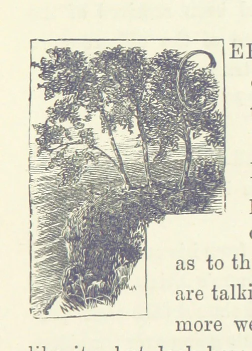 An illustration from In the Days of '54. A story of love and sacrifice, etc, 1893, leaf 77