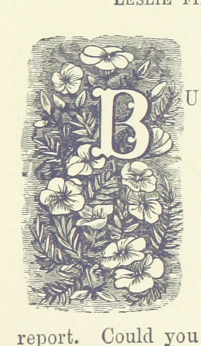 An illustration from In the Days of '54. A story of love and sacrifice, etc, 1893, leaf 97