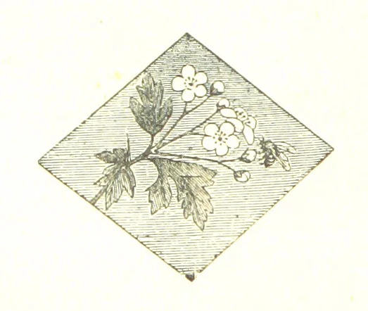An illustration from The poetical works of William Wordsworth, 1878, leaf 162