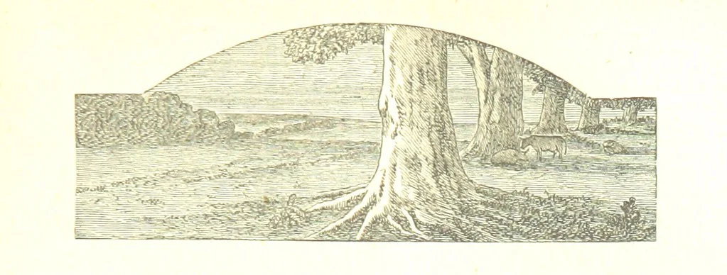 An illustration from The poetical works of William Wordsworth, 1878, leaf 163