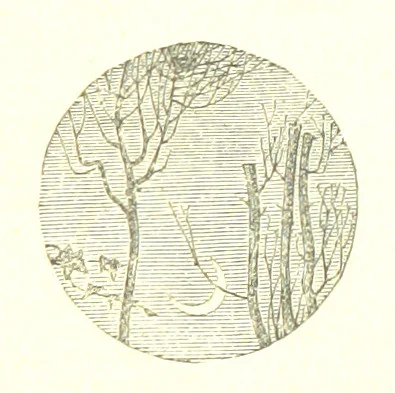 An illustration from The poetical works of William Wordsworth, 1878, leaf 217