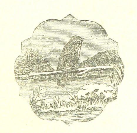 An illustration from The poetical works of William Wordsworth, 1878, leaf 243