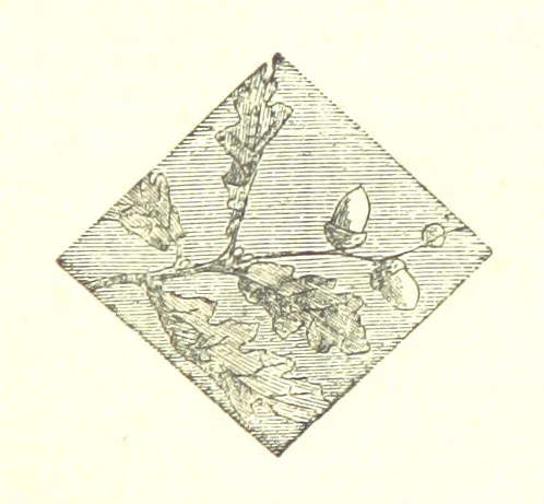 An illustration from The poetical works of William Wordsworth, 1878, leaf 249