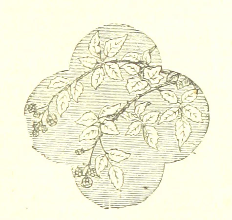 An illustration from The poetical works of William Wordsworth, 1878, leaf 265