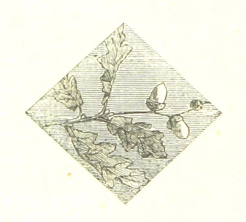 An illustration from The poetical works of William Wordsworth, 1878, leaf 284