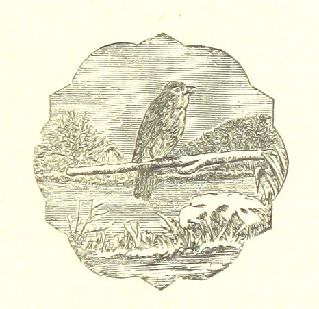 An illustration from The poetical works of William Wordsworth, 1878, leaf 291