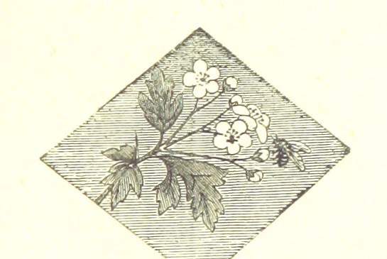 An illustration from The poetical works of William Wordsworth, 1878, leaf 307