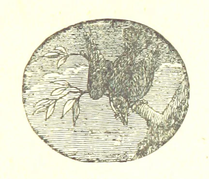 An illustration from The poetical works of William Wordsworth, 1878, leaf 327