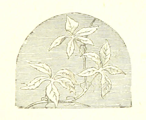 An illustration from The poetical works of William Wordsworth, 1878, leaf 347