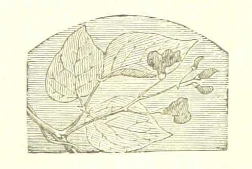 An illustration from The poetical works of William Wordsworth, 1878, leaf 351