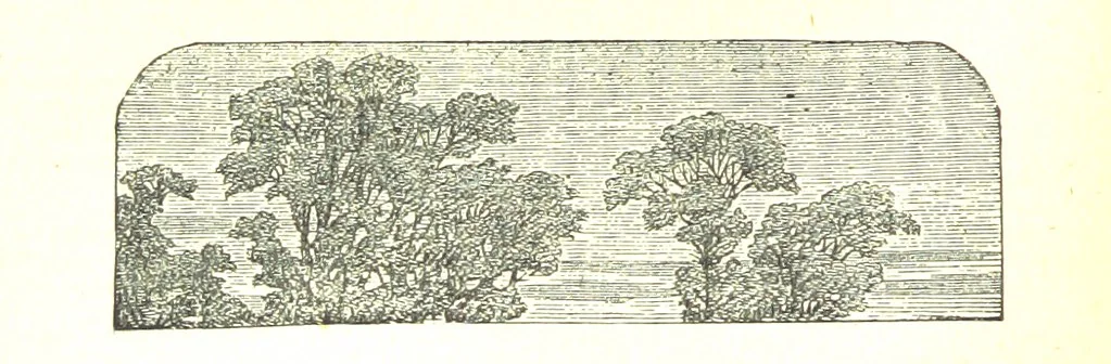 An illustration from The poetical works of William Wordsworth, 1878, leaf 38