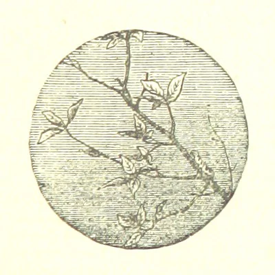 An illustration from The poetical works of William Wordsworth, 1878, leaf 73