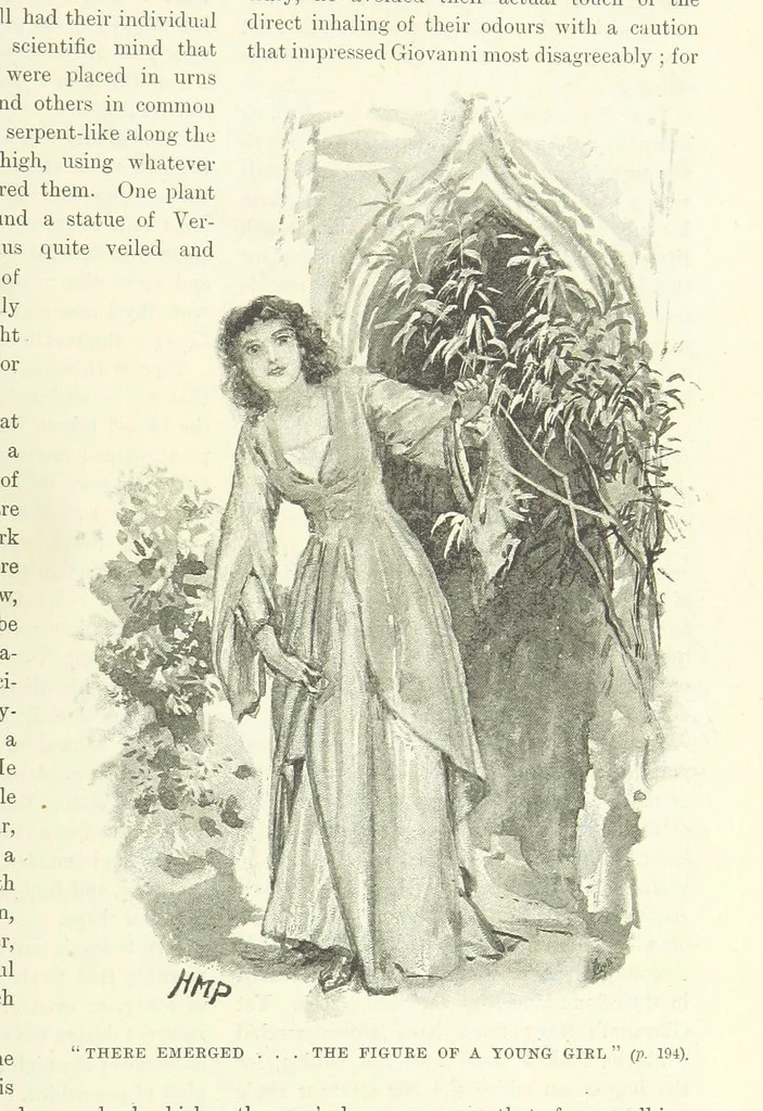 An illustration from The World of Romance. A treasury of tales, legends and traditions. Illustrated, 1892, leaf 215