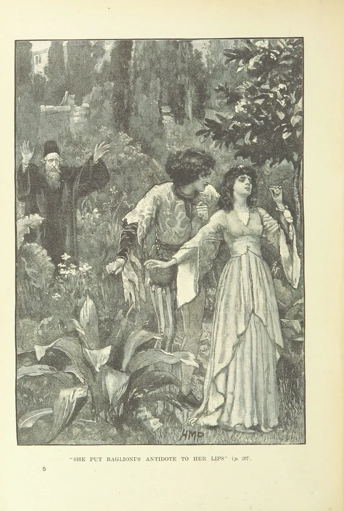 An illustration from The World of Romance. A treasury of tales, legends and traditions. Illustrated, 1892, leaf 230