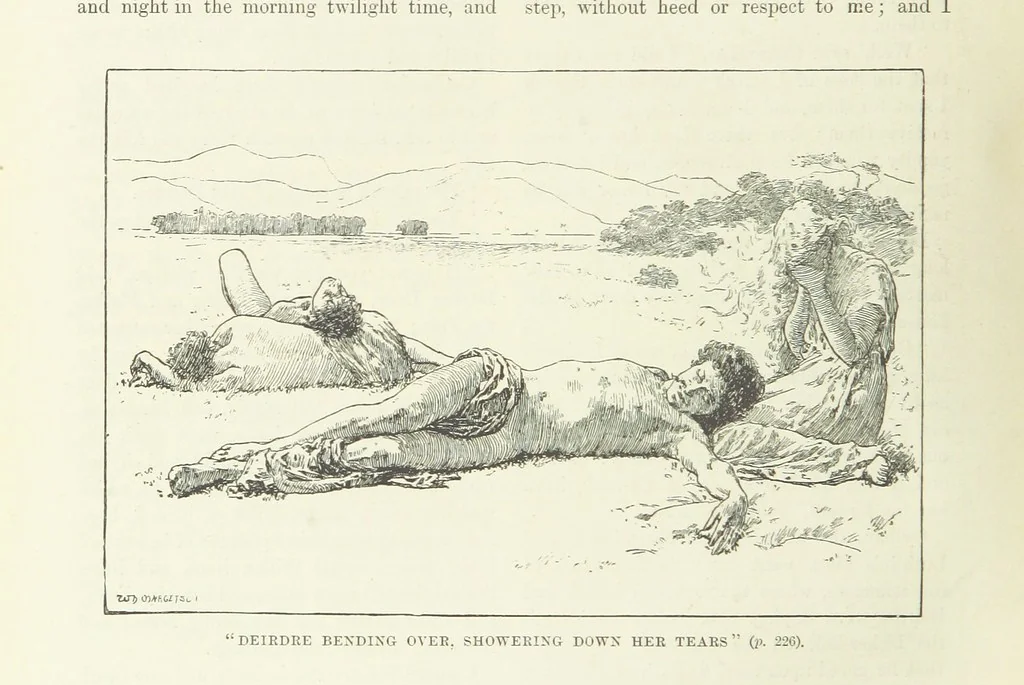 An illustration from The World of Romance. A treasury of tales, legends and traditions. Illustrated, 1892, leaf 248