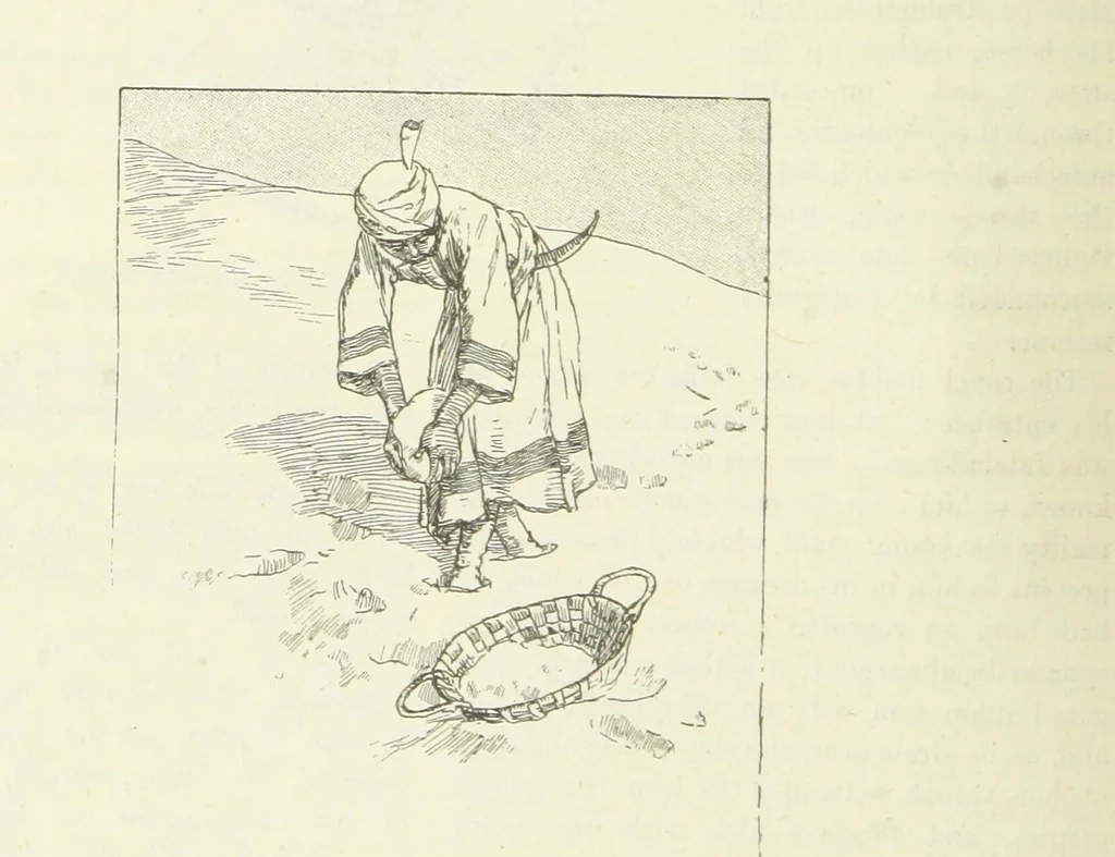 An illustration from The World of Romance. A treasury of tales, legends and traditions. Illustrated, 1892, leaf 372