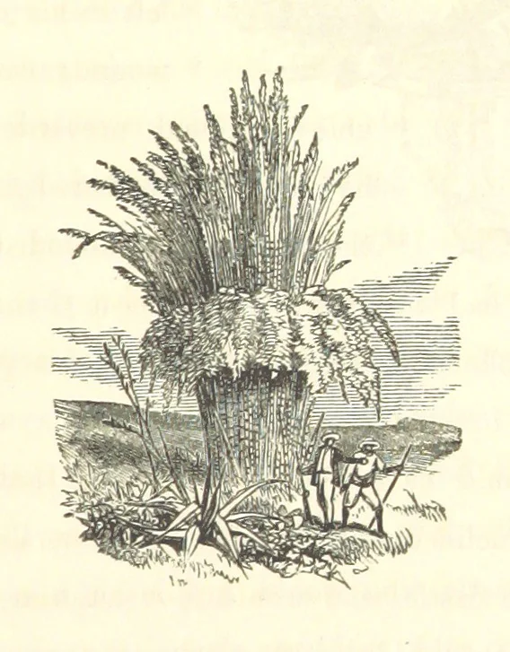 An illustration from The Fife and Drum; or, would be a soldier, 1863, leaf 285