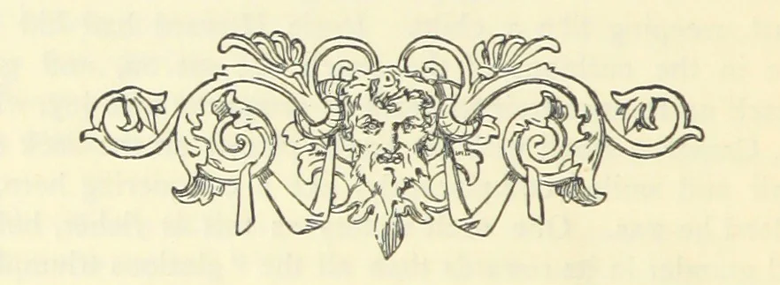 An illustration from Matthew Mellowdew. A story, etc, 1879, leaf 334