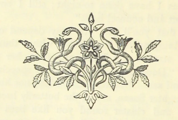 An illustration from Matthew Mellowdew. A story, etc, 1879, leaf 38
