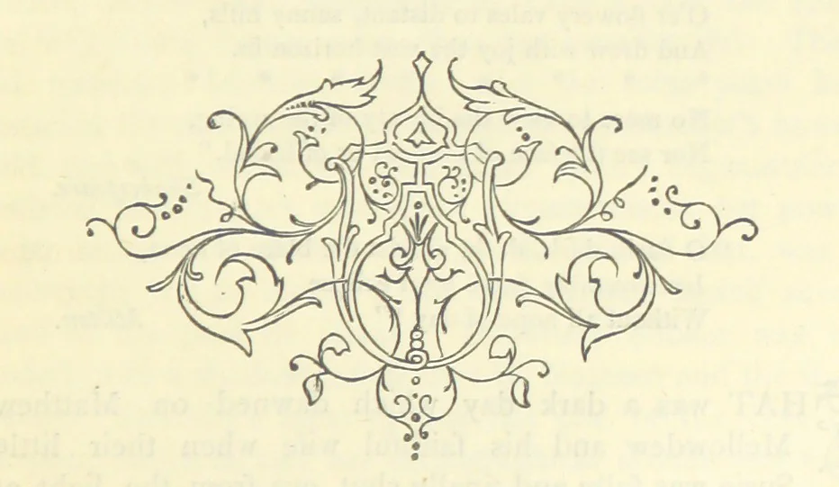 An illustration from Matthew Mellowdew. A story, etc, 1879, leaf 61