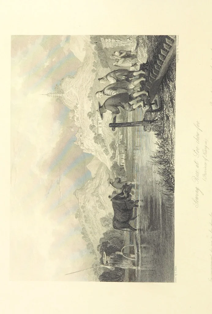 An illustration from China: in a series of views, displaying the scenery, architecture and social habits of that ancient empire. Drawn ... by T. Allom. With historical and descriptive notices by the Rev. G. N. Wright, 1858, leaf 224