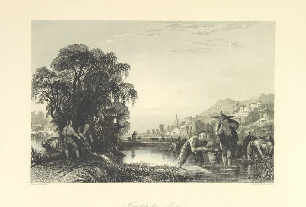 An illustration from China: in a series of views, displaying the scenery, architecture and social habits of that ancient empire. Drawn ... by T. Allom. With historical and descriptive notices by the Rev. G. N. Wright, 1858, leaf 233