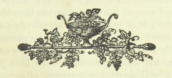 An illustration from Furlough Reminiscences. A Potpourri of reflections, observations and incidents, compiled from the diary of a happy holiday in England, by Wyvern, 1880, leaf 229