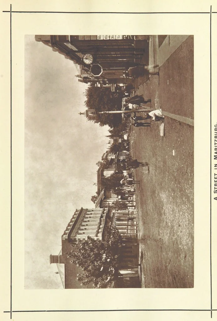 An illustration from A Winter Tour in South Africa, etc, 1890, leaf 113