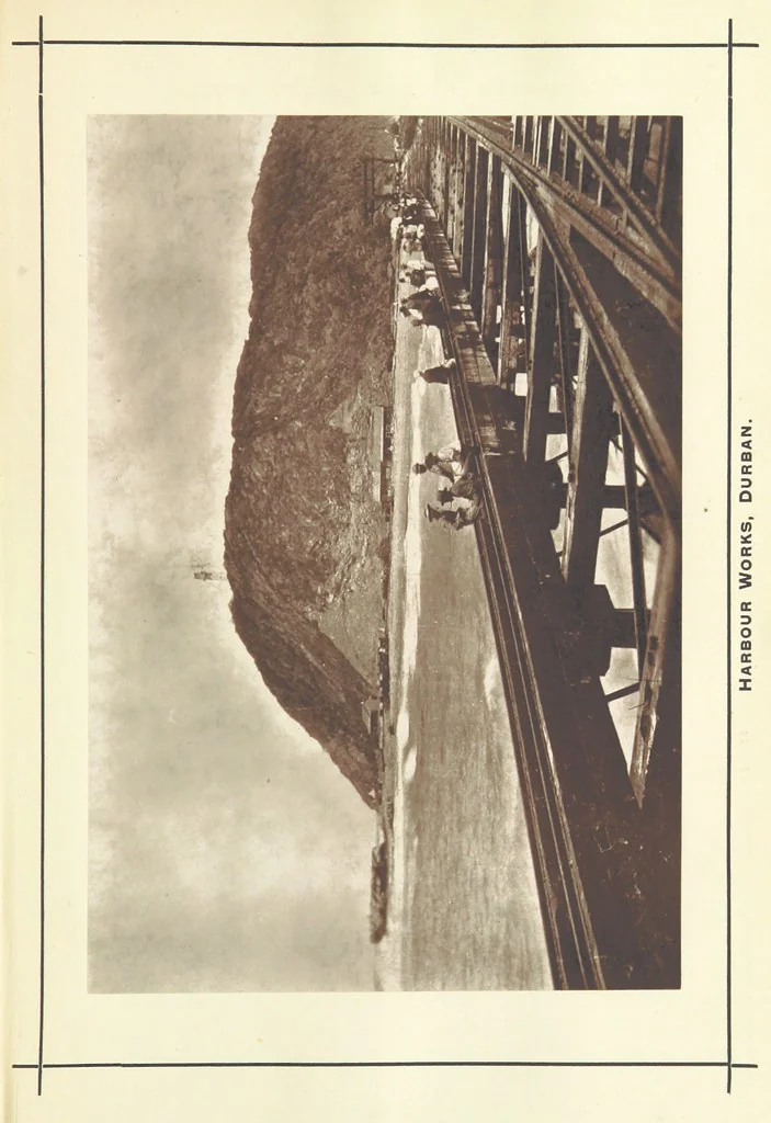 An illustration from A Winter Tour in South Africa, etc, 1890, leaf 121