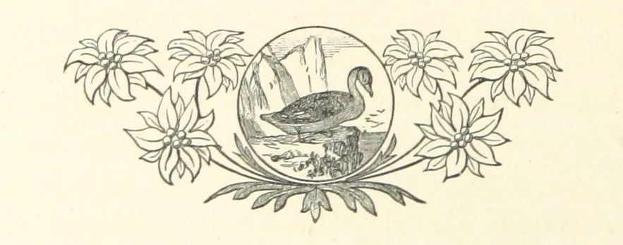 An illustration from A Winter Tour in South Africa, etc, 1890, leaf 184