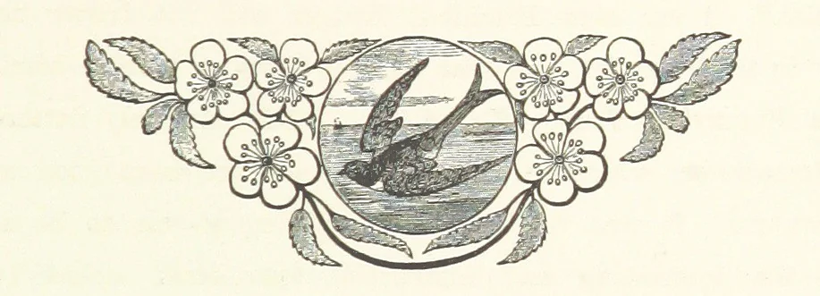 An illustration from A Winter Tour in South Africa, etc, 1890, leaf 199