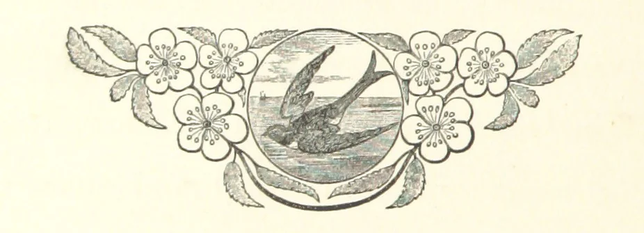 An illustration from A Winter Tour in South Africa, etc, 1890, leaf 60