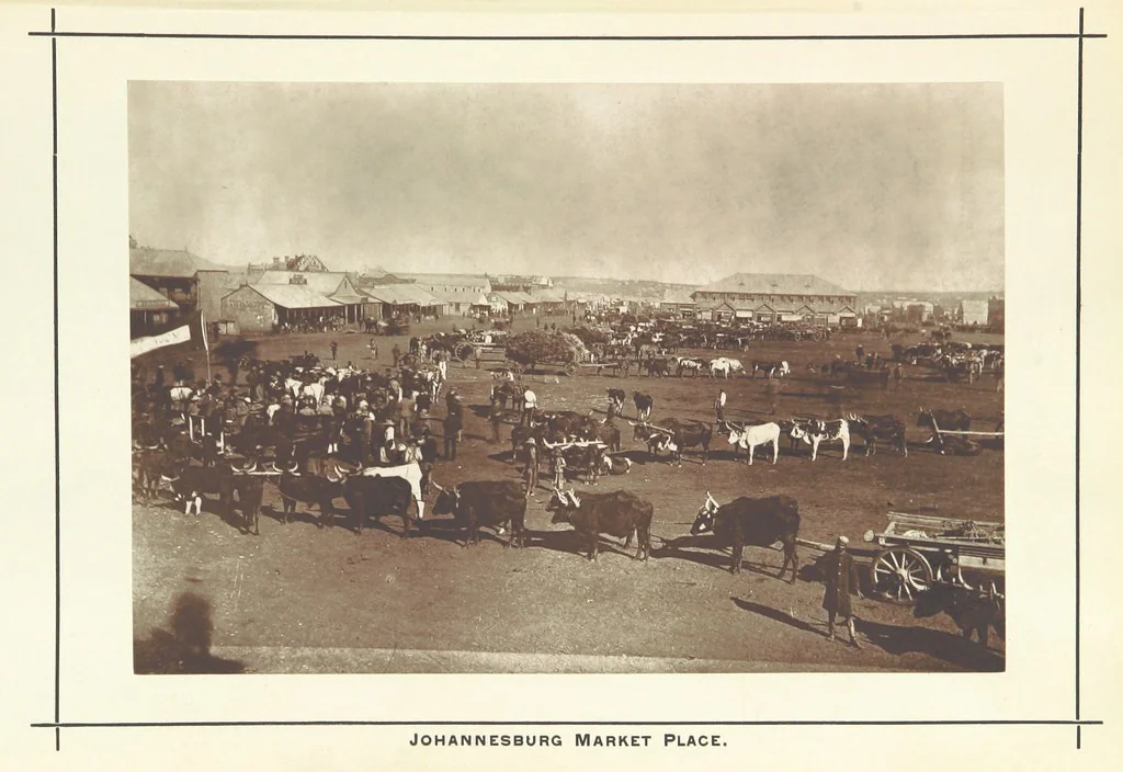 An illustration from A Winter Tour in South Africa, etc, 1890, leaf 79
