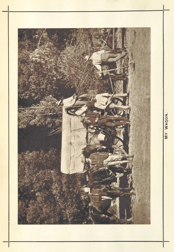 An illustration from A Winter Tour in South Africa, etc, 1890, leaf 8