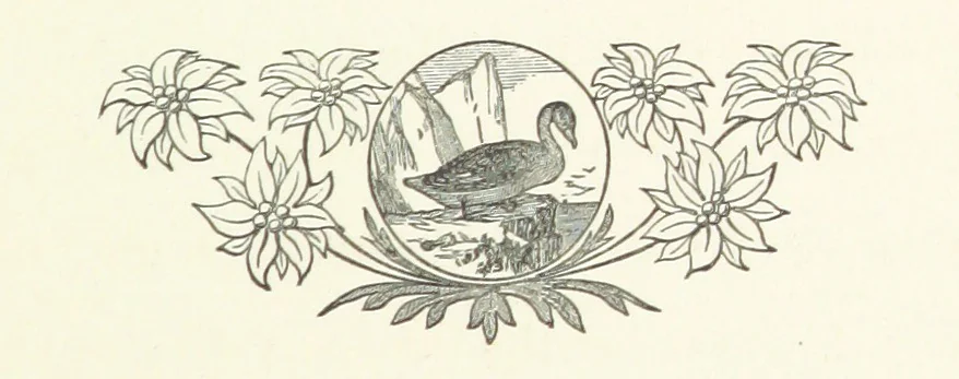 An illustration from A Winter Tour in South Africa, etc, 1890, leaf 89