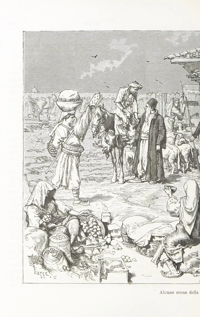 An illustration from La Dalmazia ... illustrata da 76 incisioni, etc, 1878, leaf 194