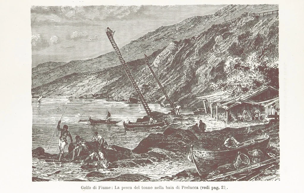 An illustration from La Dalmazia ... illustrata da 76 incisioni, etc, 1878, leaf 41