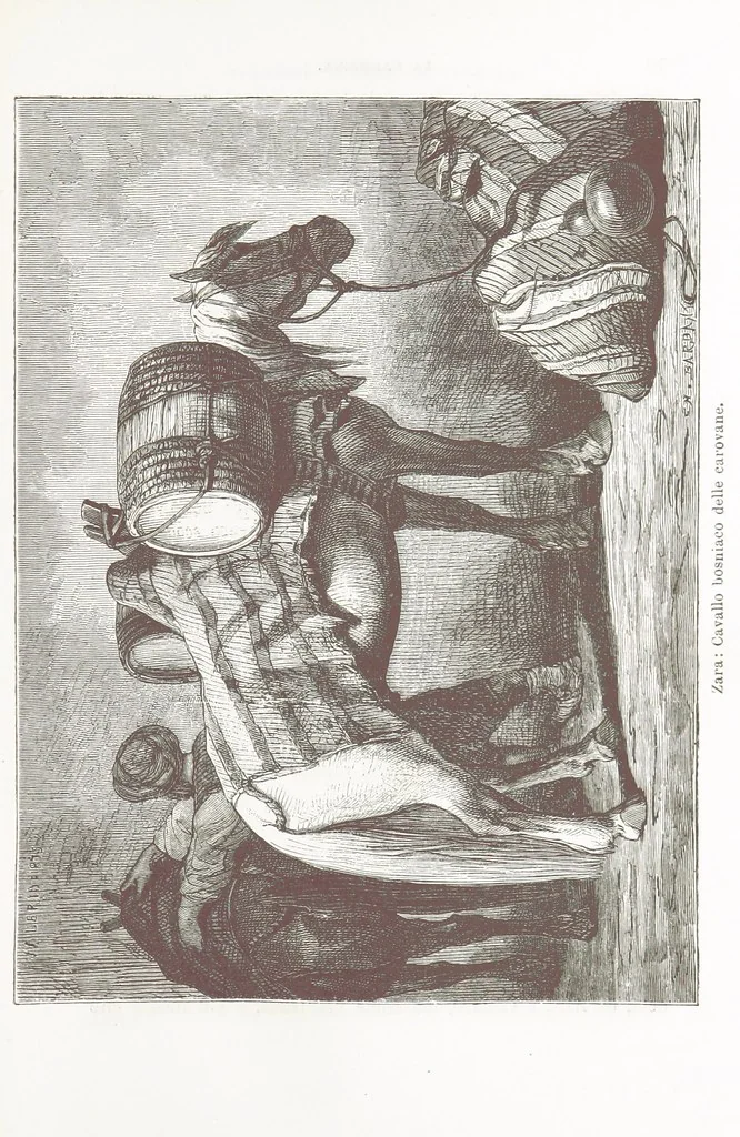 An illustration from La Dalmazia ... illustrata da 76 incisioni, etc, 1878, leaf 81