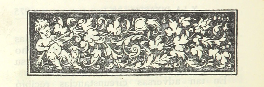 An illustration from Callvucurá y la dinastía de los Piedra ... 2a. edición, 1890, leaf 286