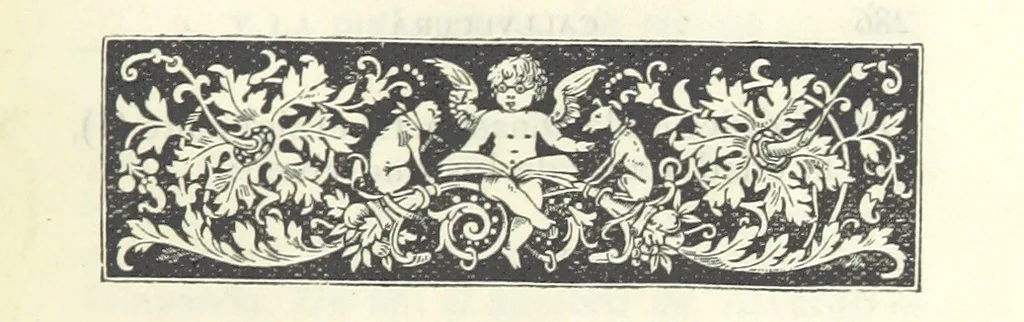 An illustration from Callvucurá y la dinastía de los Piedra ... 2a. edición, 1890, leaf 295