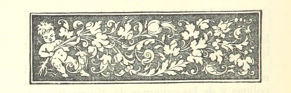 An illustration from Callvucurá y la dinastía de los Piedra ... 2a. edición, 1890, leaf 78