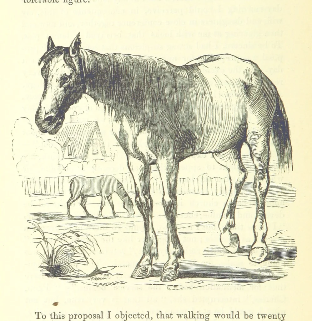 An illustration from The Vicar of Wakefield ... And a prefatory memoir by G. Moir Bussey ... Embellished with ... two hundred engravings on wood, etc, 1845, leaf 102