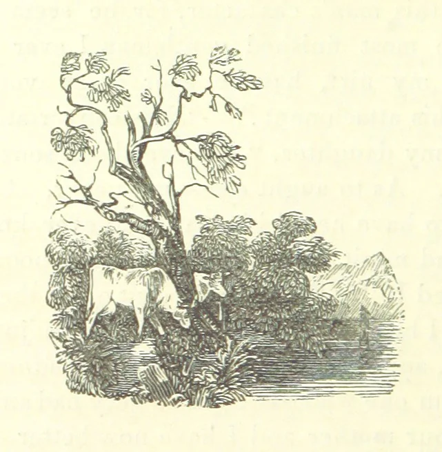 An illustration from The Vicar of Wakefield ... And a prefatory memoir by G. Moir Bussey ... Embellished with ... two hundred engravings on wood, etc, 1845, leaf 122