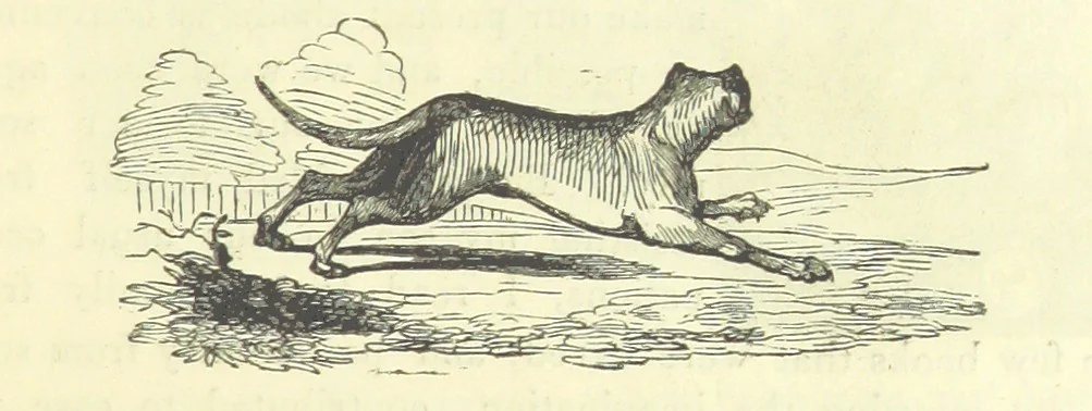 An illustration from The Vicar of Wakefield ... And a prefatory memoir by G. Moir Bussey ... Embellished with ... two hundred engravings on wood, etc, 1845, leaf 209