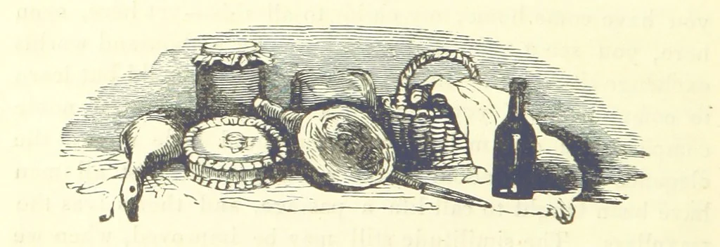 An illustration from The Vicar of Wakefield ... And a prefatory memoir by G. Moir Bussey ... Embellished with ... two hundred engravings on wood, etc, 1845, leaf 216